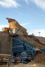 Image du Maroc Professionnelle de  Les camions s'activent à la mine de Boucraa de L'Office chérifien des phosphates. Le Groupe OCP est une société anonyme fondée en 1920 et domiciliée au Maroc. OCP S.A est le Leader mondial de l'industrie du phosphate, Mardi 8 Février 2005. (Photo / Abdeljalil Bounhar)